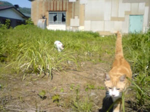 080515_1420~01.JPG