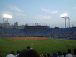 P9190019.JPG