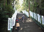 P1020673.JPG