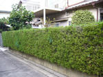 P1020505.JPG