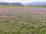 P1020876.JPG