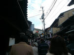 P1020011.JPG