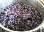 090209_1421~01.JPG