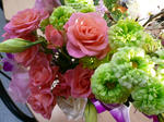 0824b02f.JPG