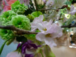 P1020121.JPG
