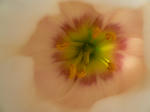 P1020124.JPG
