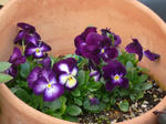 66f5d76f.jpg