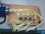 b5afe533.jpg