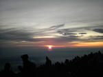 DVC00086.jpg