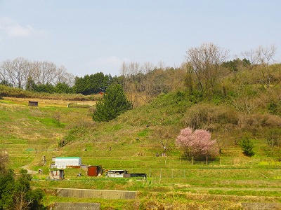 s-01DSC01210.jpg