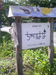 200807121532001.jpg
