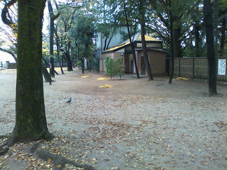 SN3K0044_01.jpg