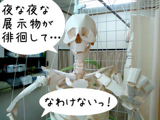 SN3K0162-01.jpg