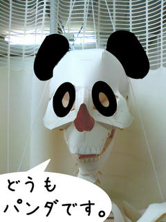 SN3K0172-01.jpg