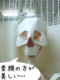 SN3K0172-02.jpg