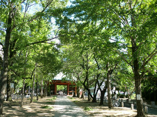 CIMG0060-01.jpg