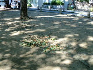 CIMG0059-01.jpg