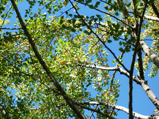 CIMG0058-01.jpg