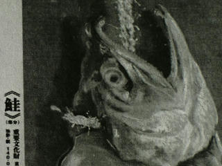 CIMG0507-01.jpg