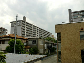 CIMG0572-01.jpg