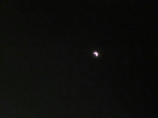 CIMG0603-01.jpg