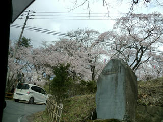 CIMG0927-01.jpg