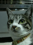 DSCN0530.JPG