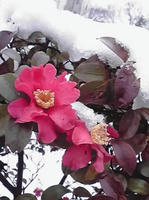 201022.jpg