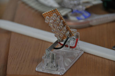 SP1_0562.jpg