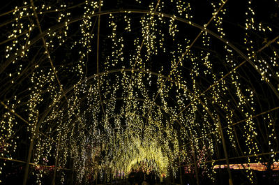 SP1_0923.jpg