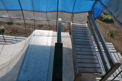 SP1_1846.jpg