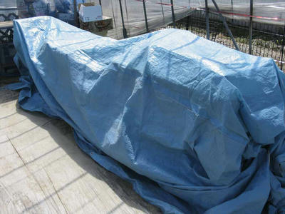 b81c22d5.jpg