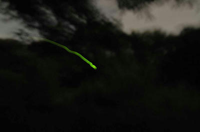 SP1_2051.jpg