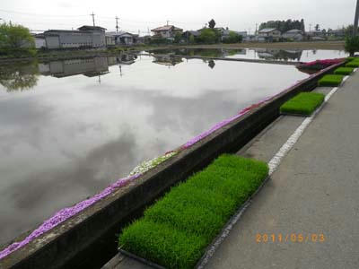 IMGP0075.jpg