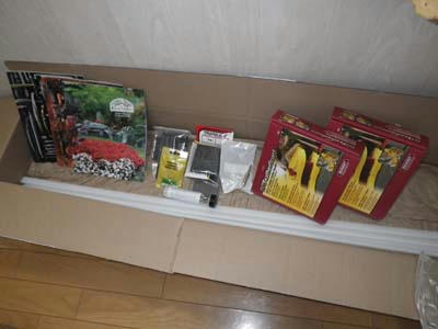 IMGP3346.jpg