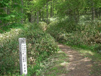 Tateshina03.jpg