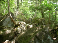 Tateshina04.jpg