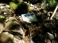 chougatake06.jpg