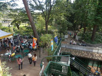 ziburi04.jpg
