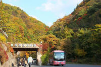 yokoyakyo12.jpg