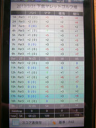 MalletGolf03.jpg