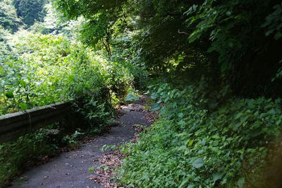 DSCF2878.jpg