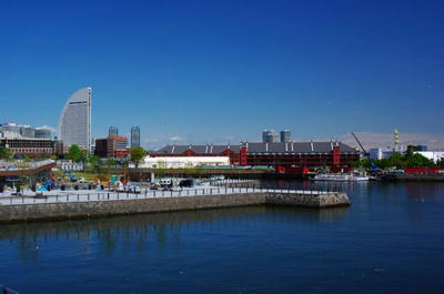 IMGP0244.jpg