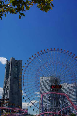 IMGP0302.jpg