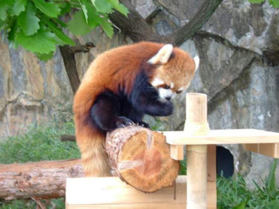 DSCF0675.jpg