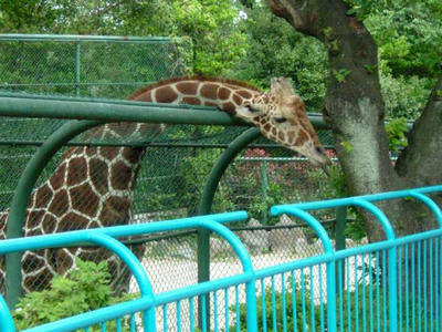 DSCF0713.jpg
