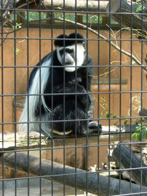 DSCF0746.jpg