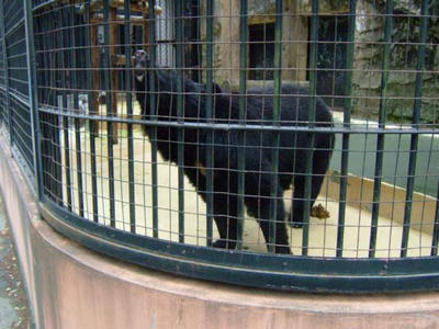 DSCF0721.jpg