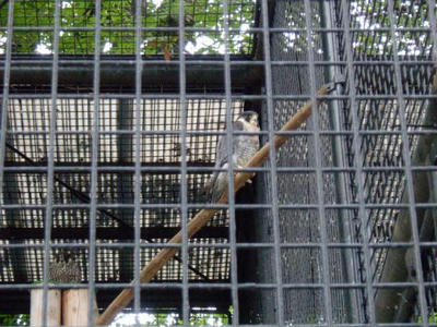 DSCF0725.jpg