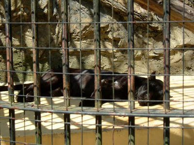 DSCF0775.jpg